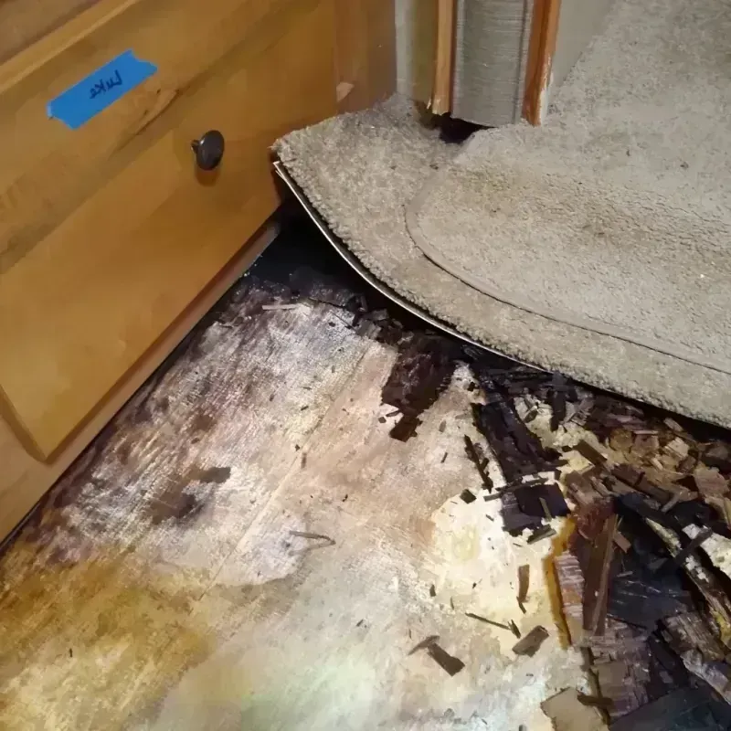 Wood Floor Water Damage in Tuscola County, MI